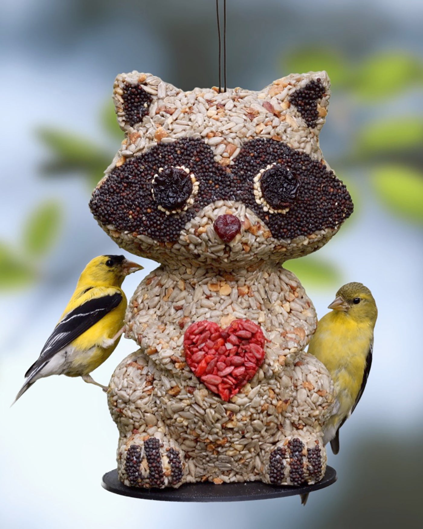 Racoon Bird Feeder (Gifts For Bird Lovers)