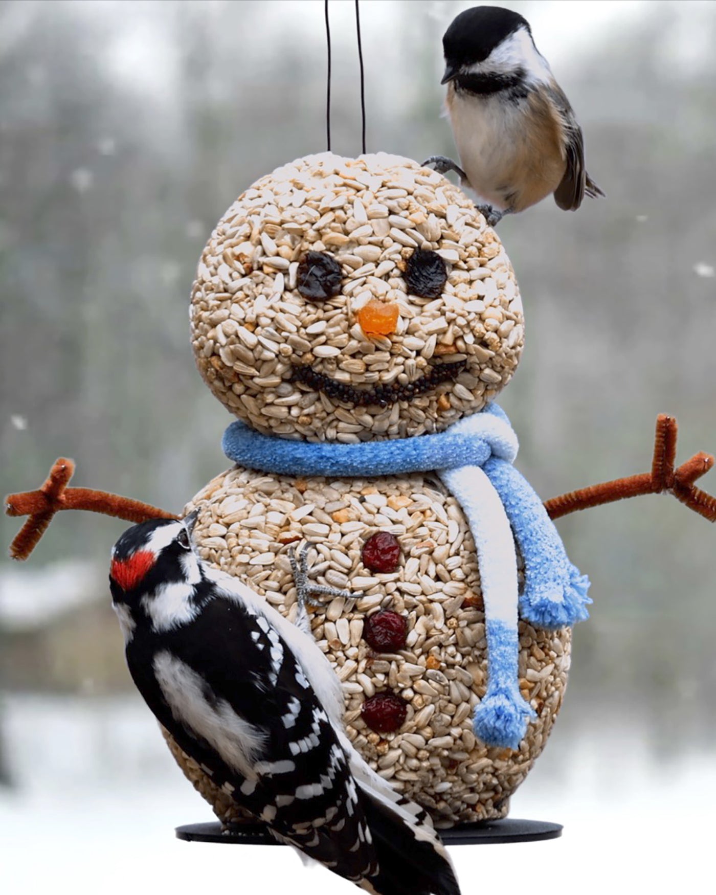 Snowman Bird Feeder (Gifts For Bird Lovers)