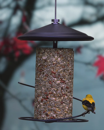 Seed Cylinder Feeder - Black