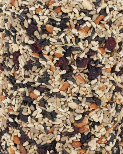 Cranberry Mix Seed Cylinder