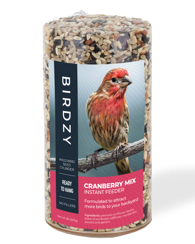 Cranberry Mix Seed Cylinder